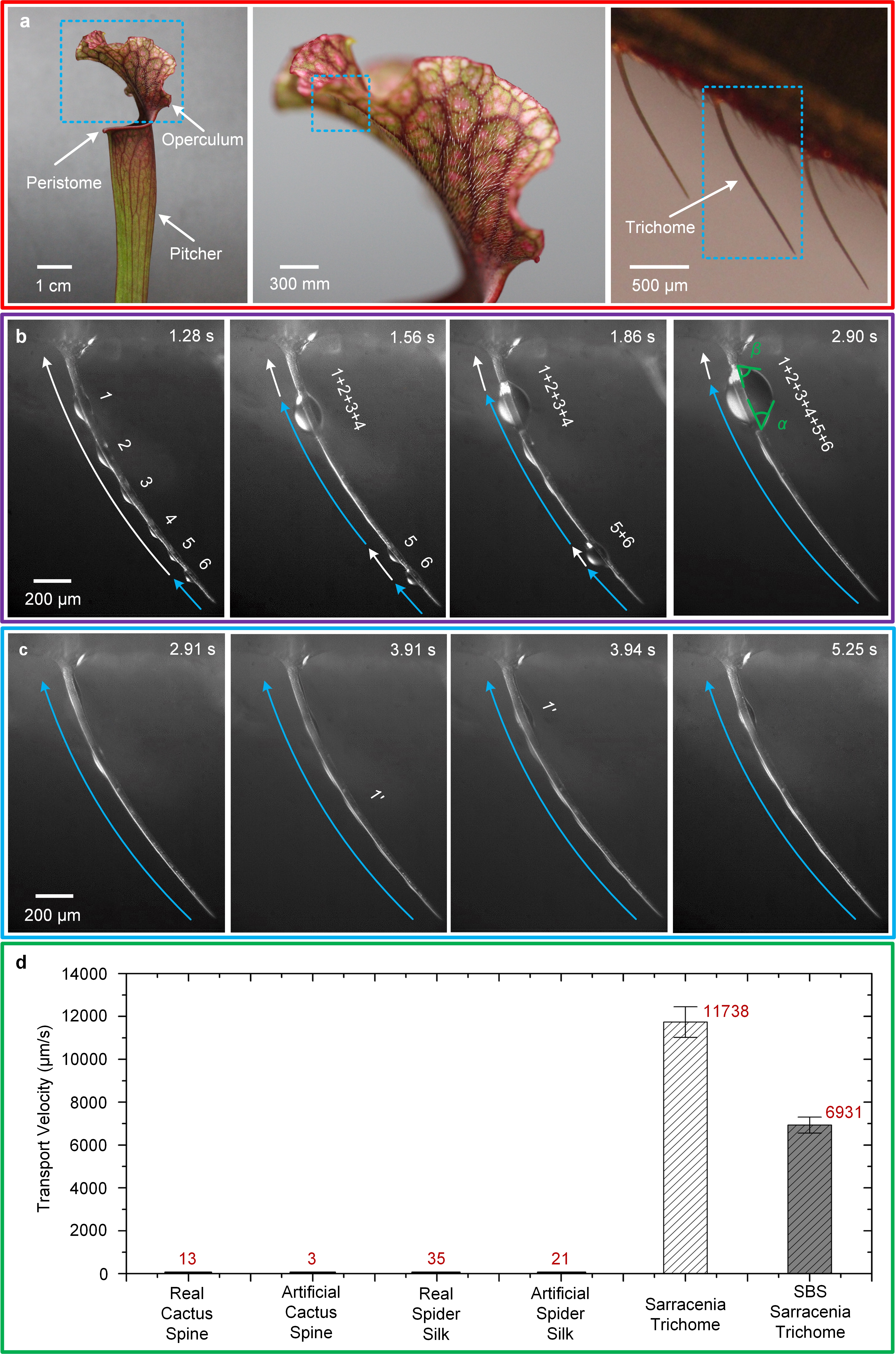 5FCA15C0E681397277429FD1EBC_3A5A3F7A_894325